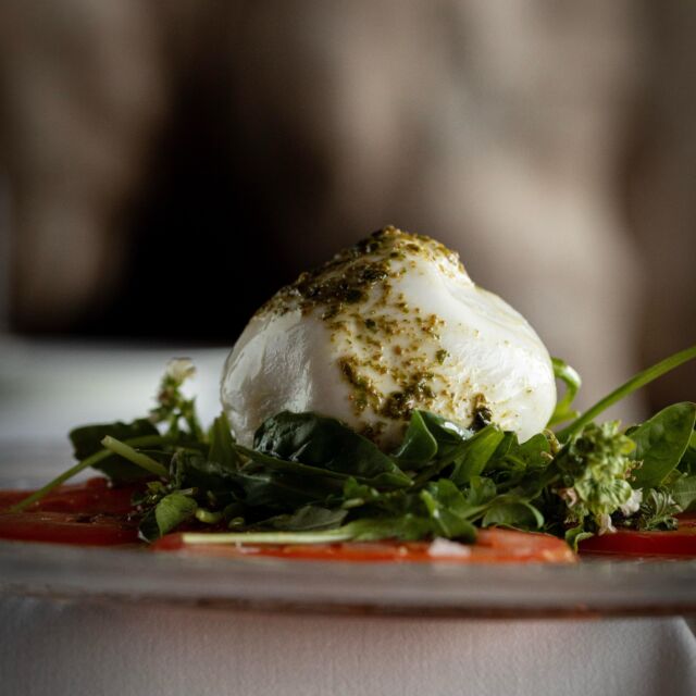 ES- Ven a Brunelli’s Steakhouse y déjate seducir por el encanto de nuestra Burrata con tomate y aceite de pesto: una experiencia culinaria que no querrás perderte.

🍅🫒🍅🫒

EN- Come to Brunelli’s Steakhouse and be captivated by the charm of our Burrata with tomato and pesto oil: a culinary experience you won’t want to miss.
